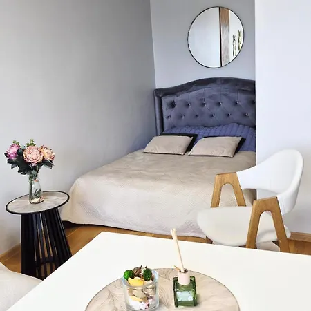 Lejlighed Apartamentai Paryziaus K 2 *